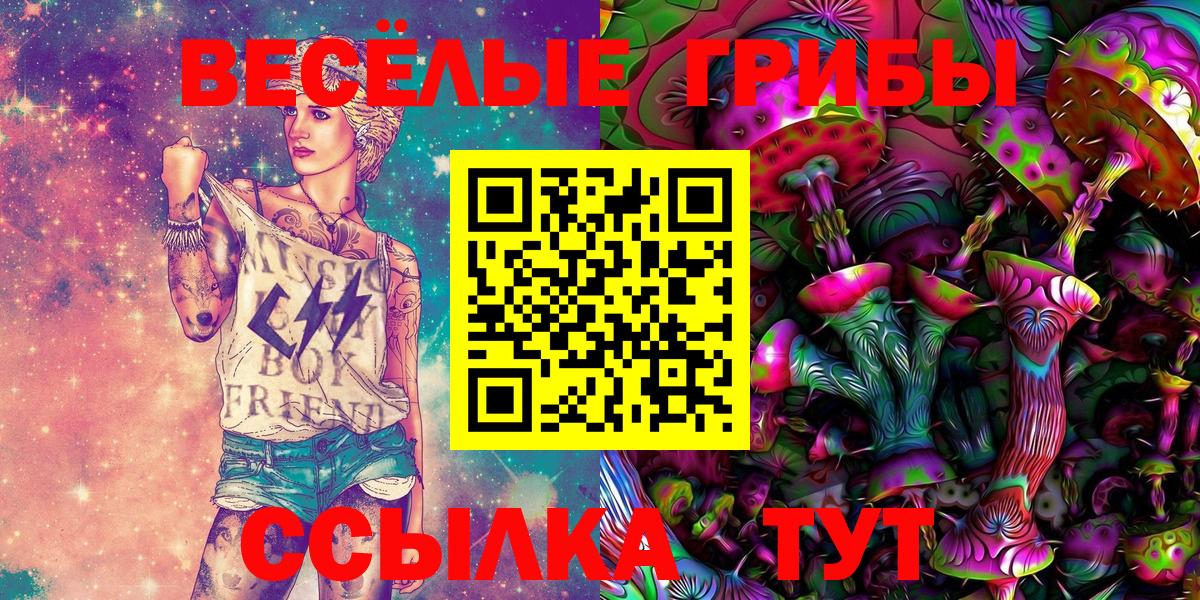 Псилоцибиновые грибы Psilocybine cubensis  Вход с VPN  Мыски 