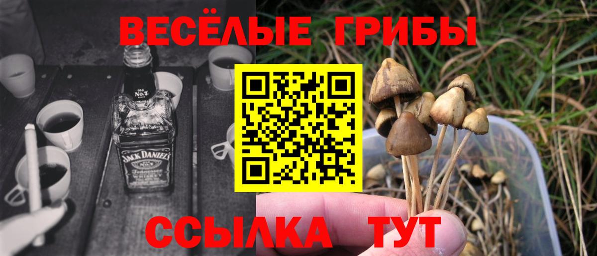 Псилоцибиновые грибы мухоморы Мыски